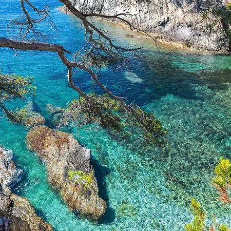 La D'exception Les Genets - Paradis Du Sud Hyères